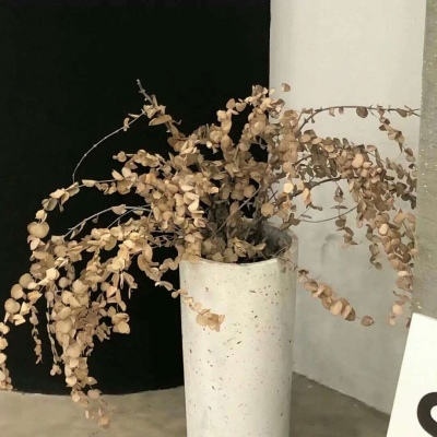 港闸FurryQQ群介绍